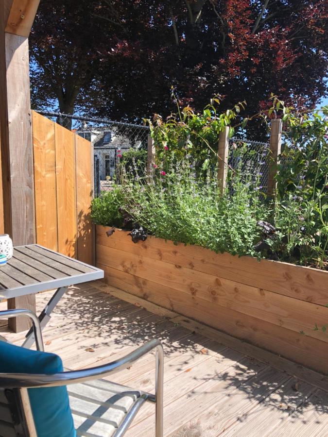 Studio Appartement 1Nul9Noord Renesse Zewnętrze zdjęcie